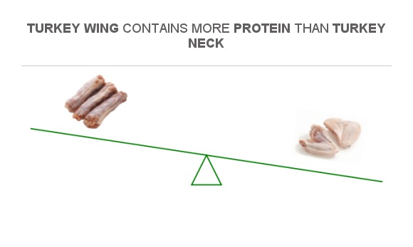 Compare Protein in Turkey neck to Protein in Turkey wing