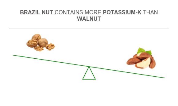 Compare Potassium in Walnut to Potassium in Brazil nut