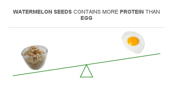 Compare Protein in Watermelon seeds to Protein in Egg