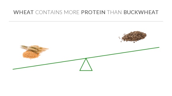 compare-protein-in-wheat-to-protein-in-buckwheat