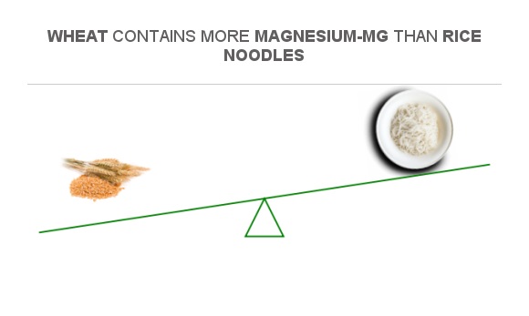 Compare Magnesium in Wheat to Magnesium in Rice noodles