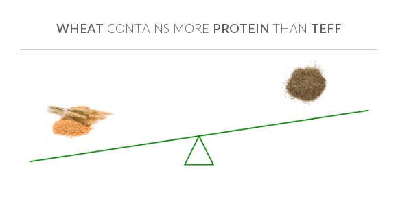 Compare Protein in Wheat to Protein in Teff