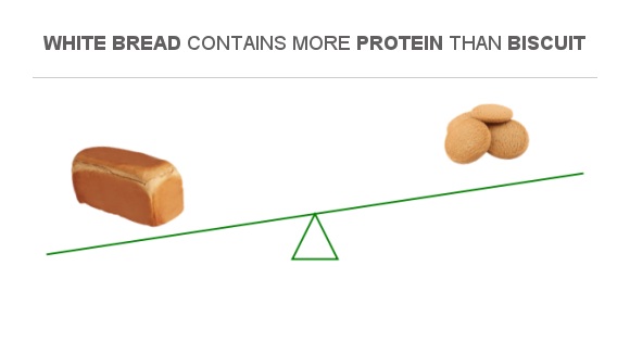 compare-protein-in-white-bread-to-protein-in-biscuit