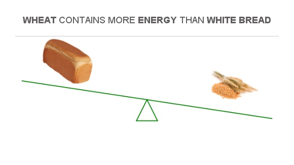 Compare Calories in White Bread to Calories in Wheat