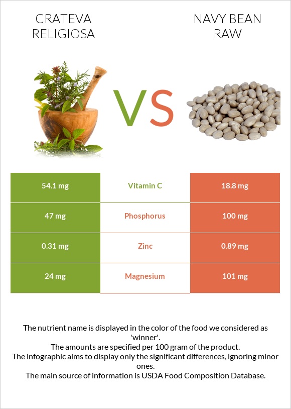 Crateva religiosa vs Լոբի սպիտակ նևի հում infographic