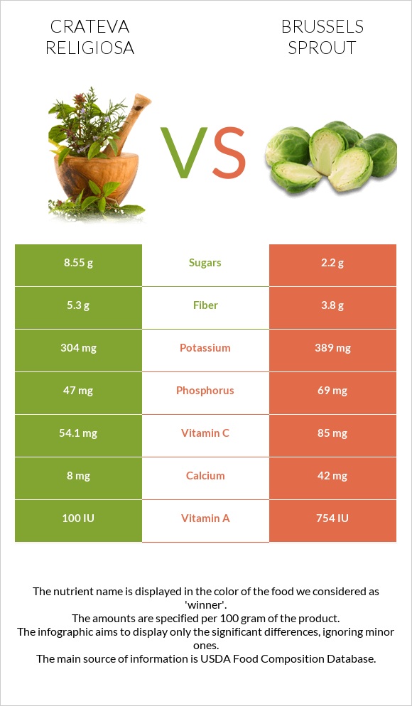 Crateva religiosa vs Brussels sprout infographic