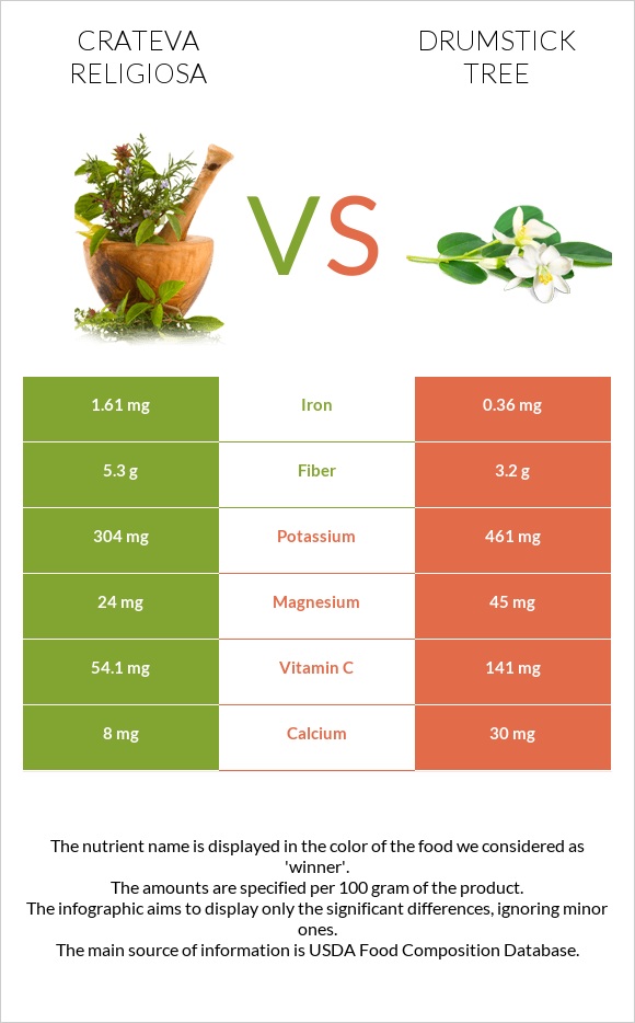 Crateva religiosa vs Drumstick tree infographic