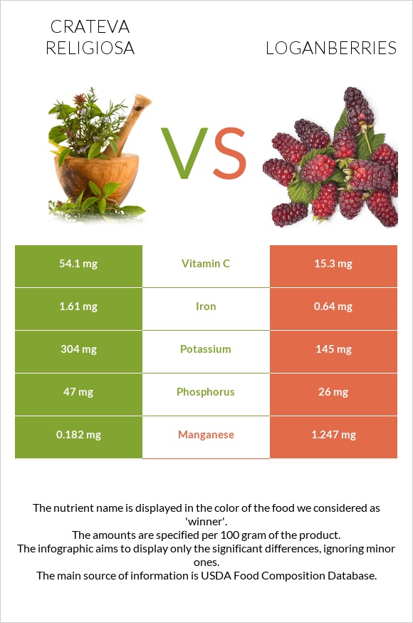 Crateva religiosa vs Loganberries infographic