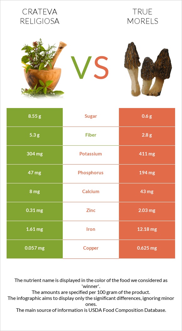 Crateva religiosa vs True morels infographic