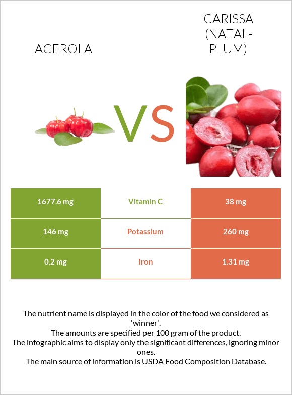 Acerola vs Carissa (natal-plum) infographic