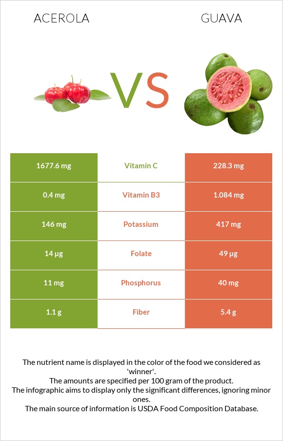 Acerola vs Guava infographic