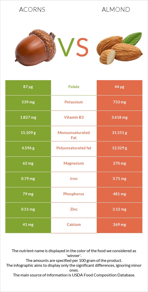 Acorns vs Almond infographic