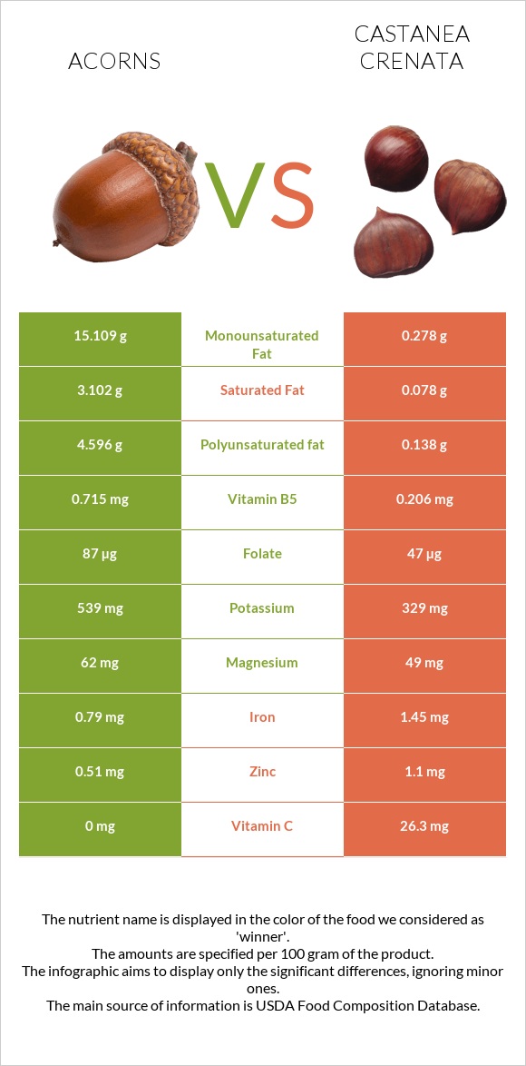 Acorns vs Castanea crenata infographic