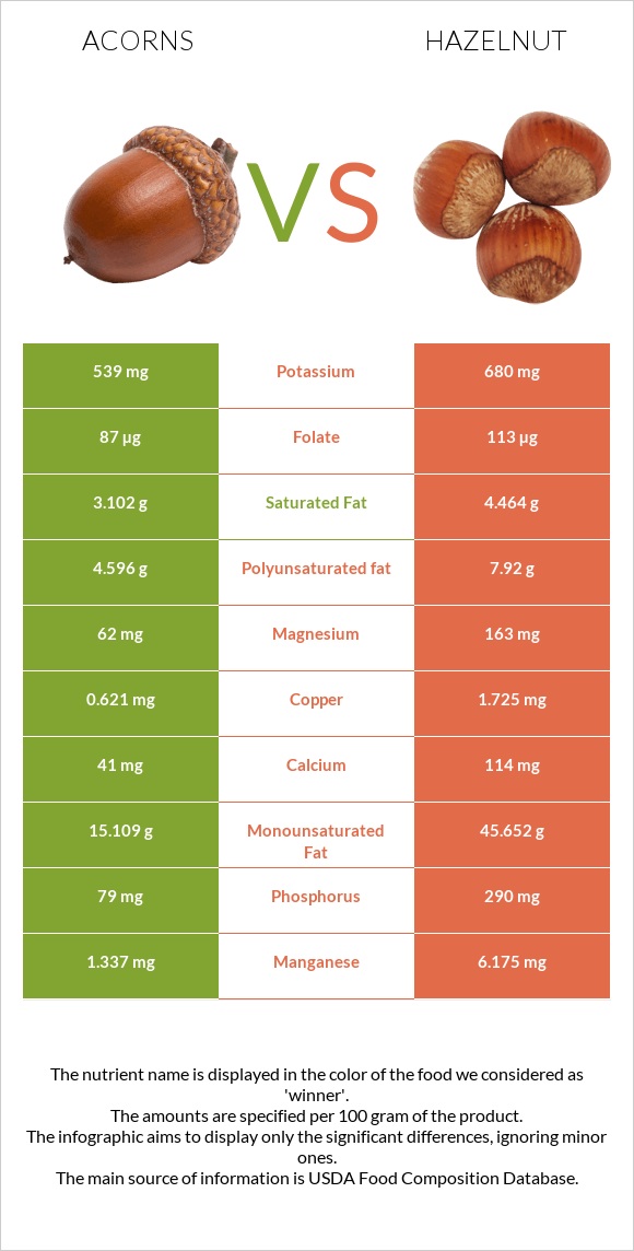 Acorns vs Hazelnut infographic
