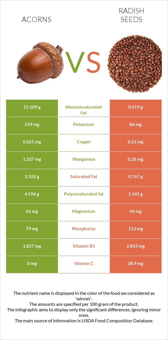 Acorns vs Radish seeds infographic