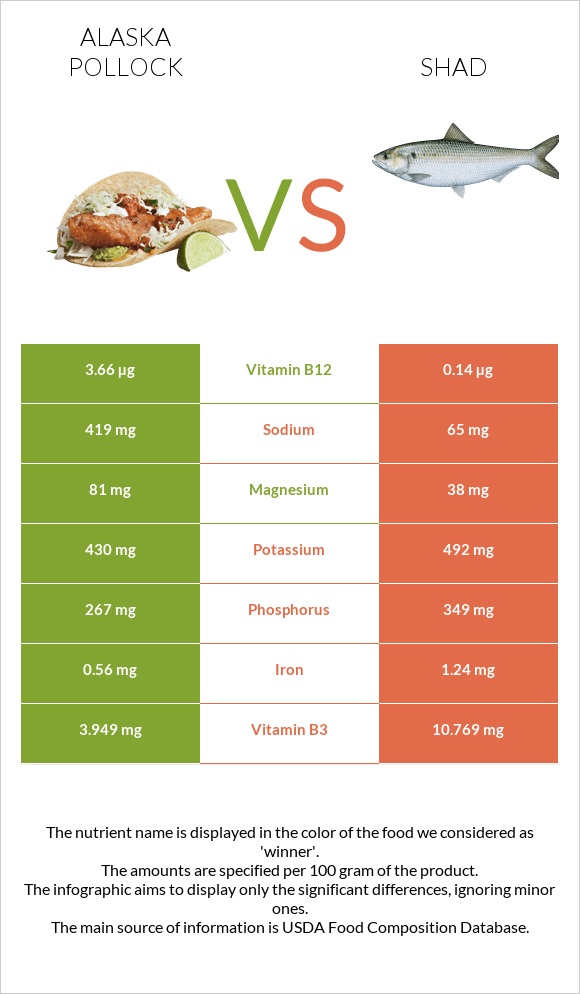 Pollock vs Shad infographic