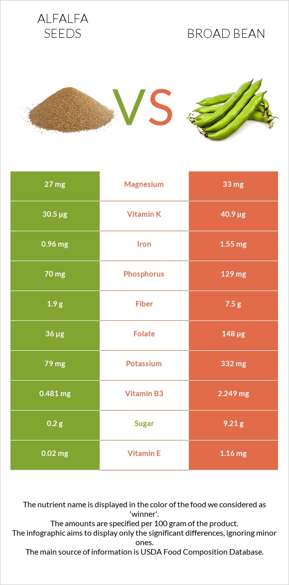 Alfalfa seeds vs Broad bean infographic