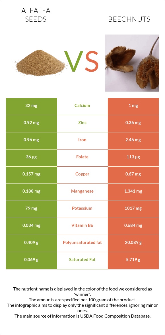 Alfalfa seeds vs Beechnuts infographic