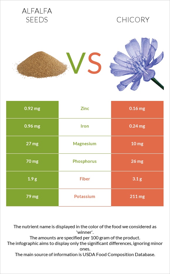 Alfalfa seeds vs Chicory infographic