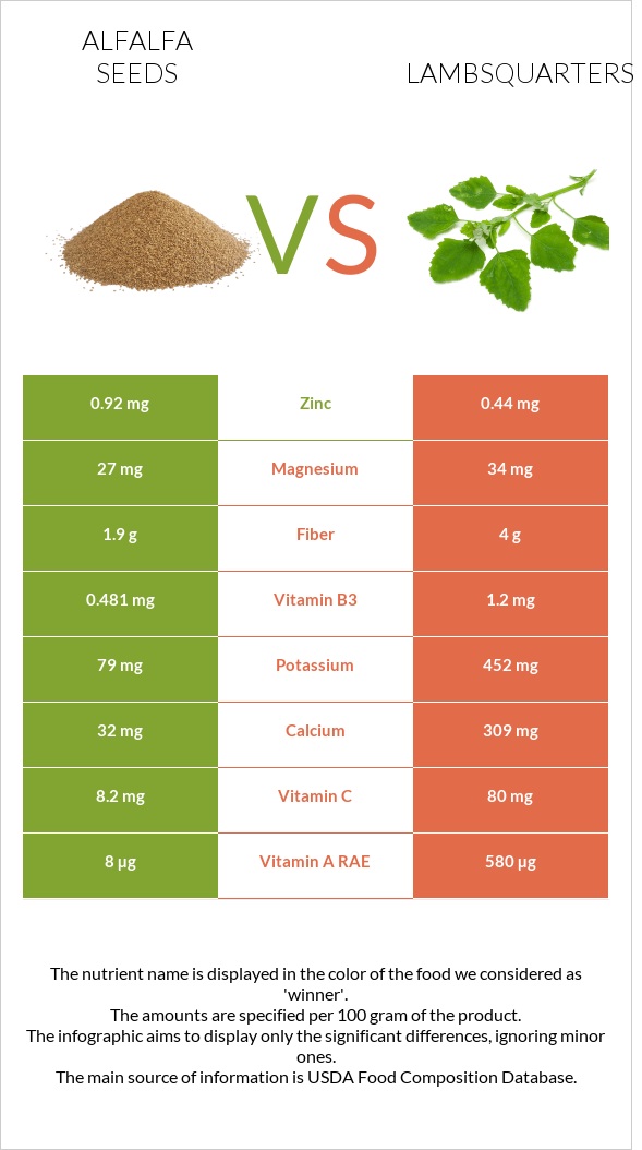 Alfalfa seeds vs Lambsquarters infographic
