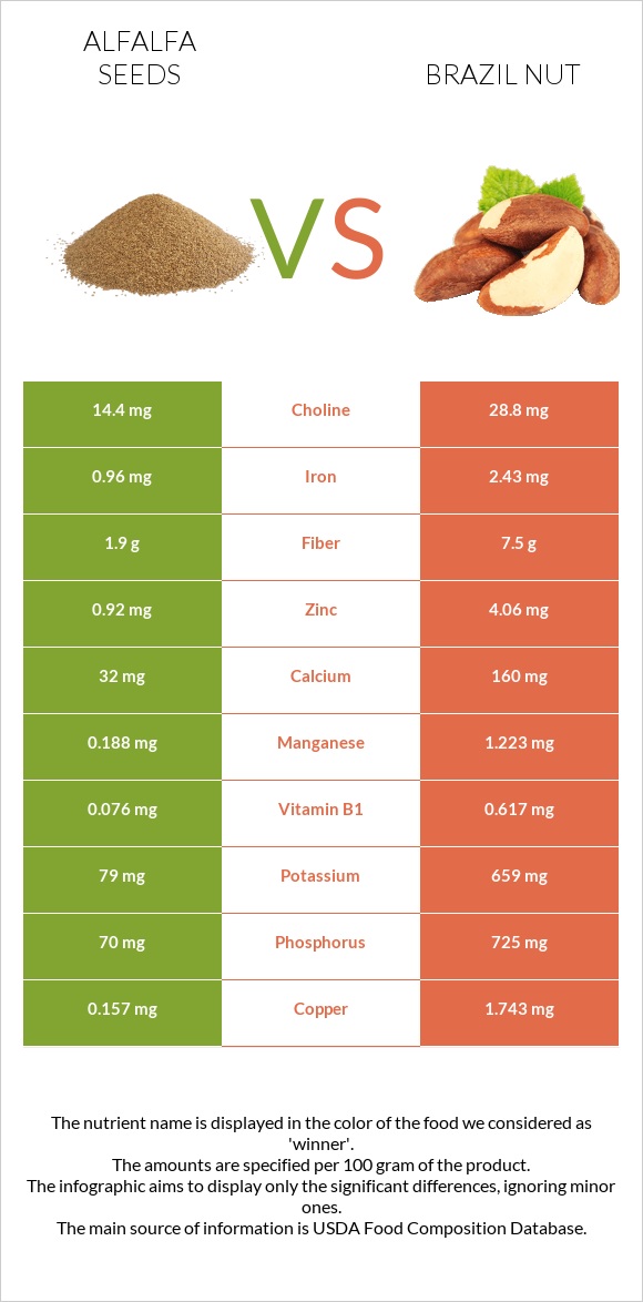 Alfalfa seeds vs Brazil nut infographic