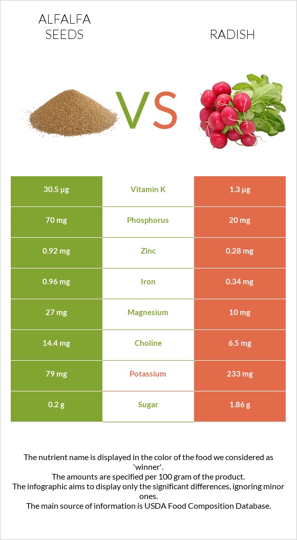Alfalfa seeds vs Radish infographic
