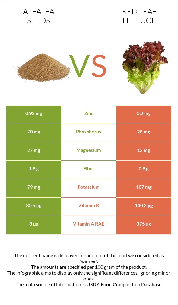 Alfalfa seeds vs Red leaf lettuce infographic