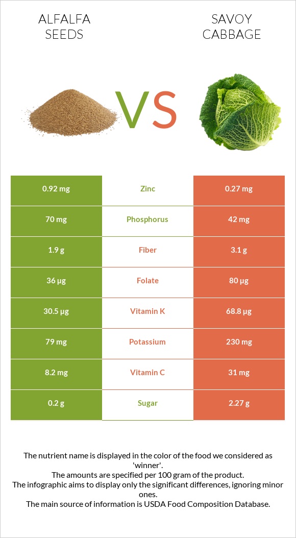 Alfalfa seeds vs Savoy cabbage infographic