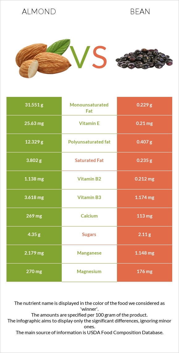 Almond vs Bean infographic