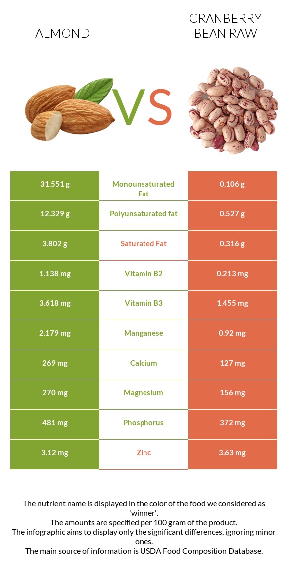 Almond vs Cranberry bean raw infographic