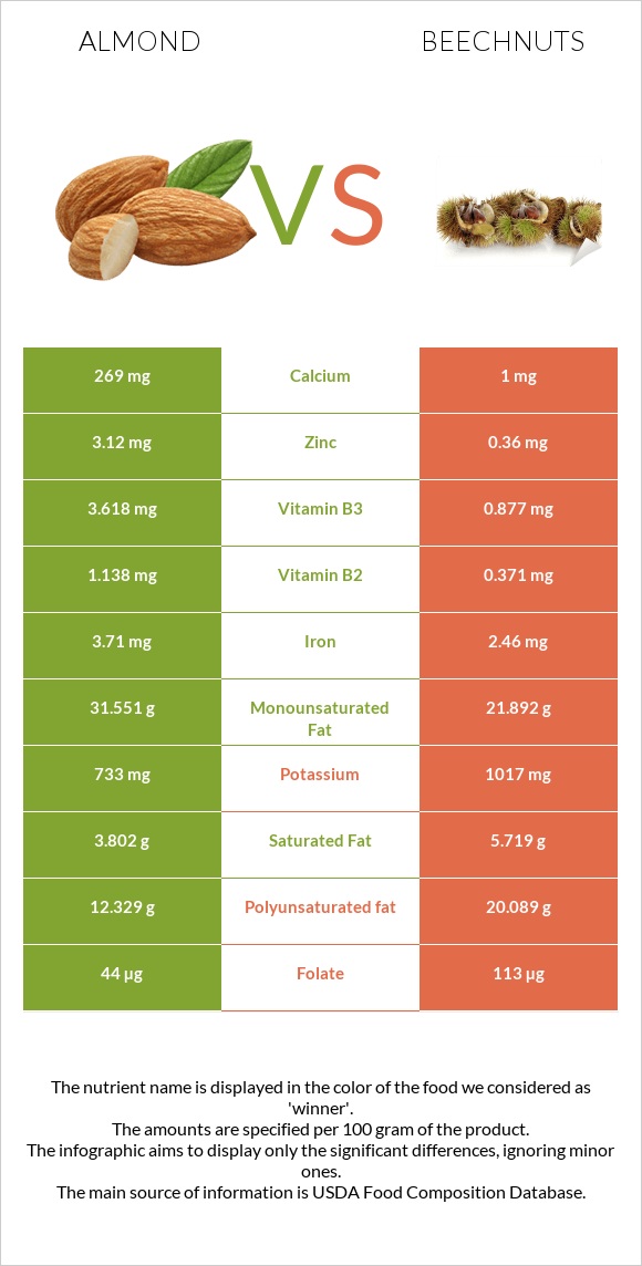 Almond vs Beechnuts infographic