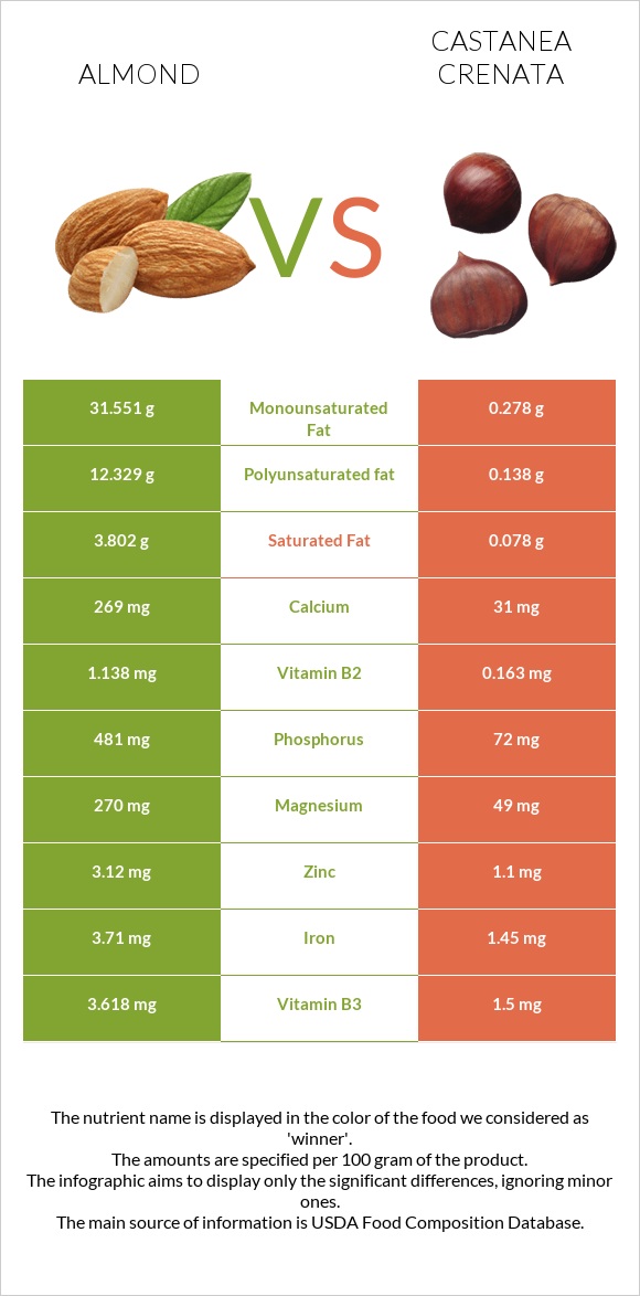 Almond vs Castanea crenata infographic