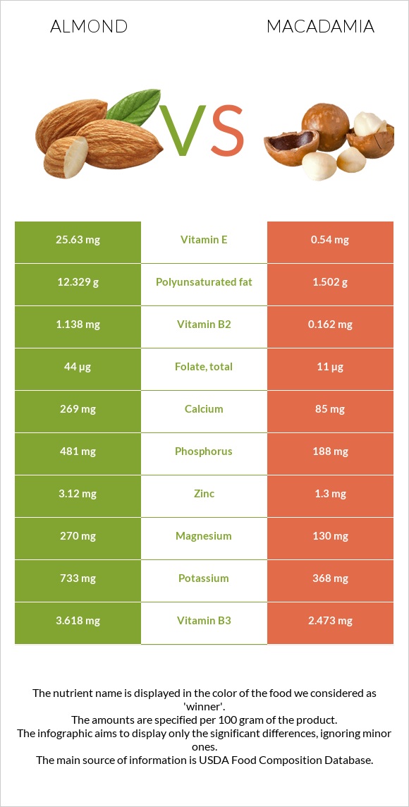 Almond vs Macadamia infographic