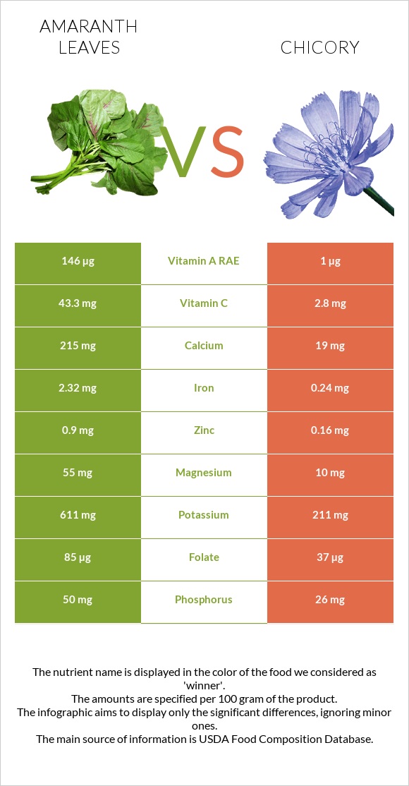 Amaranth leaves vs Chicory infographic