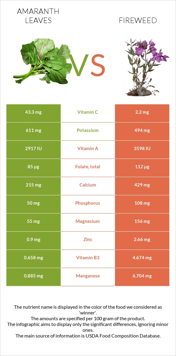 Ամարանթի տերևներ vs Fireweed infographic