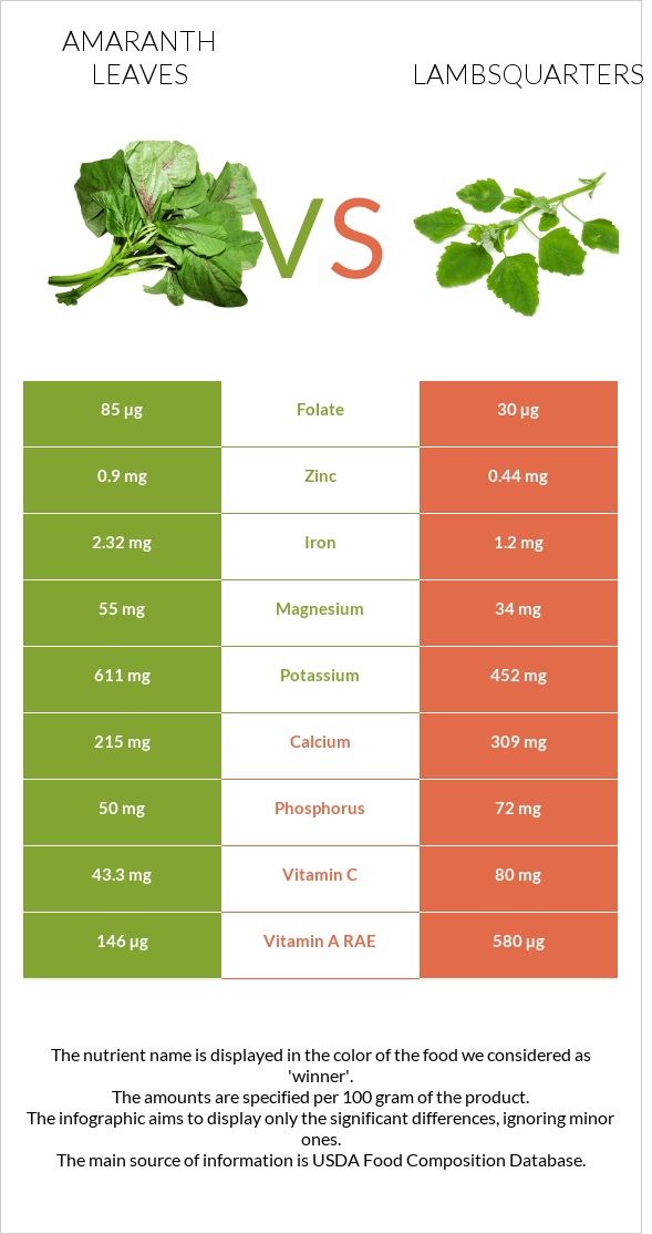 Amaranth leaves vs Lambsquarters infographic