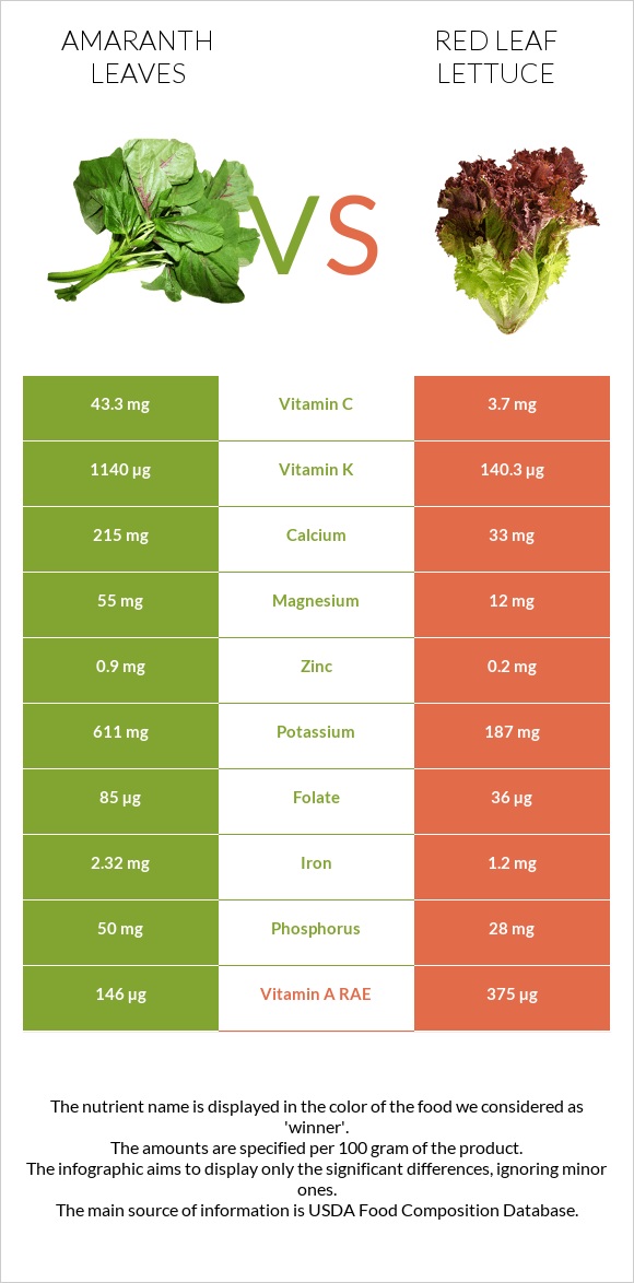 Amaranth leaves vs Red leaf lettuce infographic