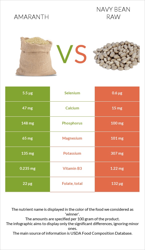 Amaranth grain vs Լոբի սպիտակ նևի հում infographic