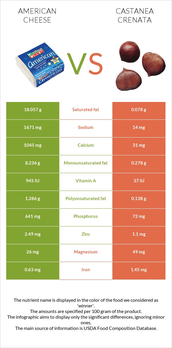 American cheese vs Castanea crenata infographic