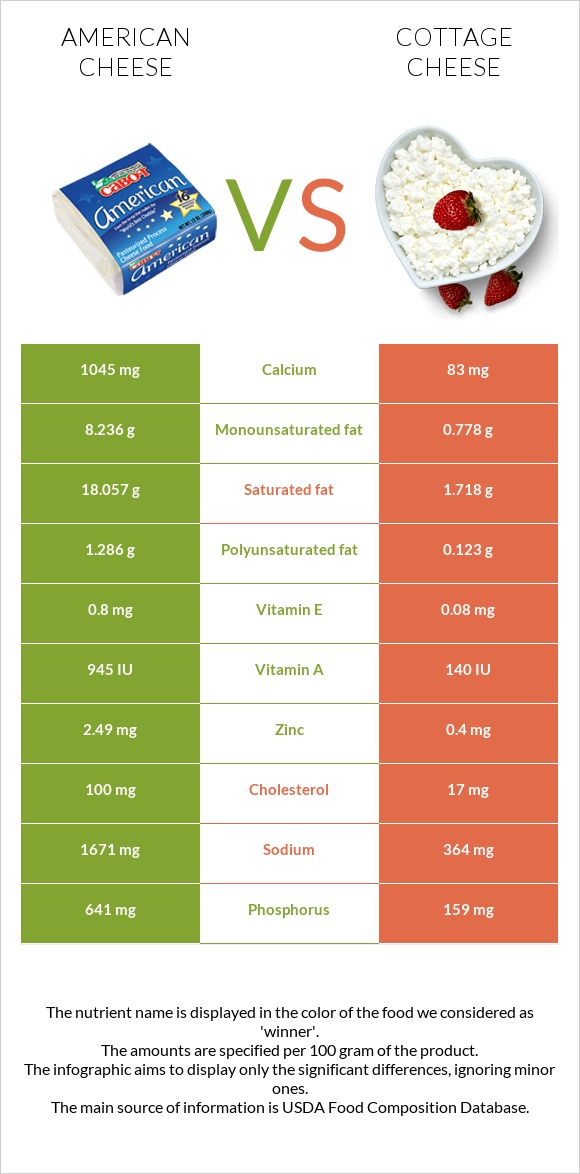 American cheese vs Cottage cheese infographic