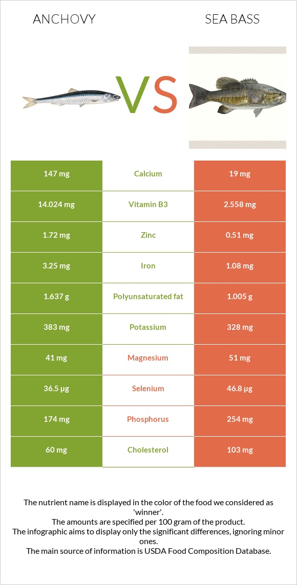 Anchovy vs Bass infographic