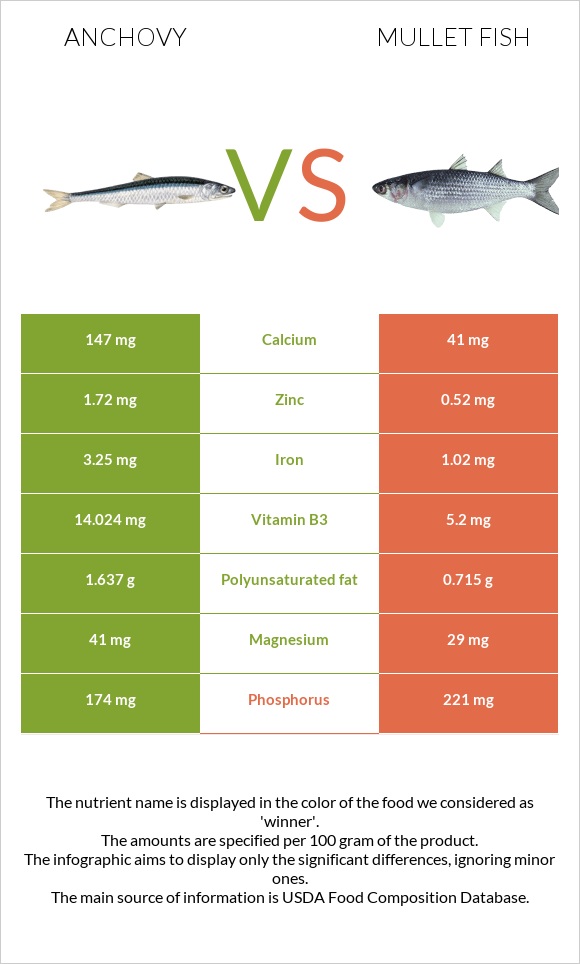 Anchovy vs Mullet fish infographic