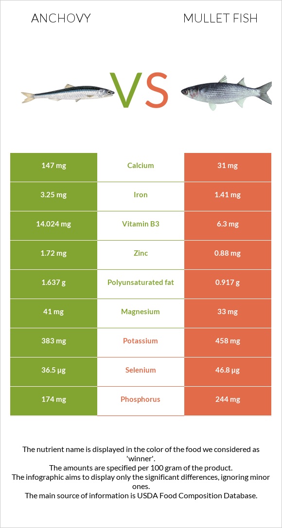 Anchovy vs Mullet fish infographic