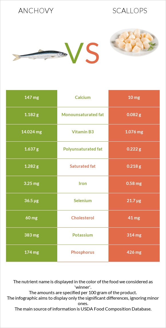 Anchovy vs Scallop infographic