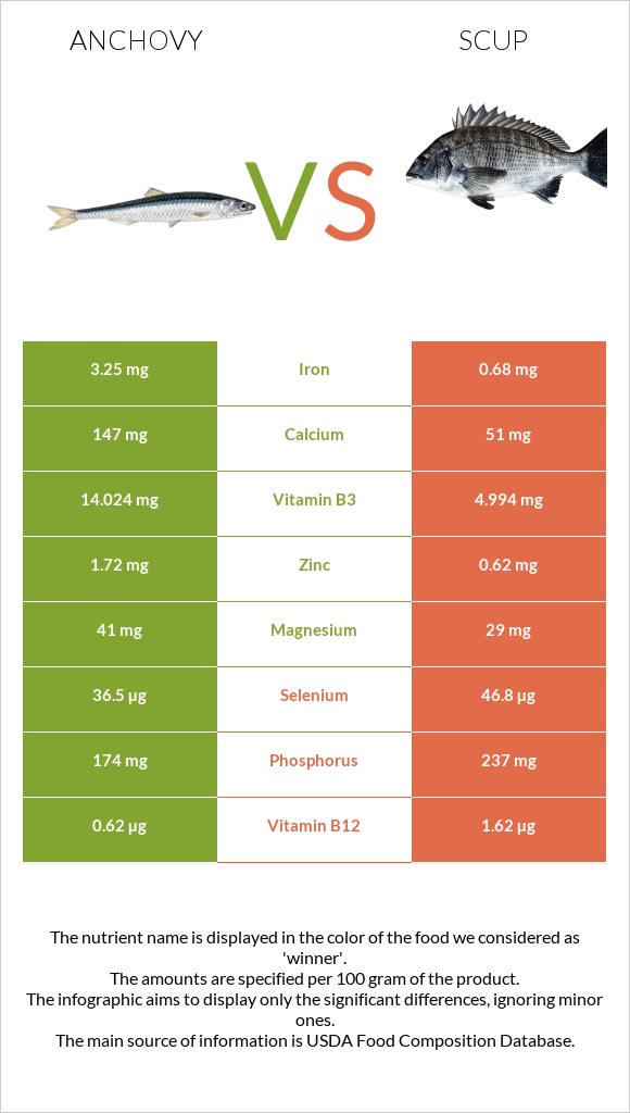 Anchovy vs Scup infographic