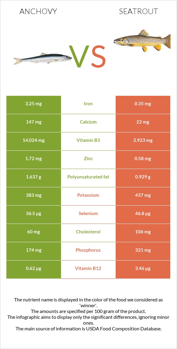 Anchovy vs Seatrout infographic