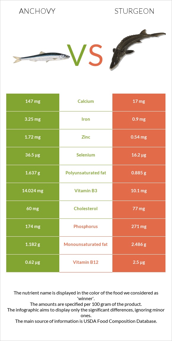 Anchovy vs Sturgeon infographic