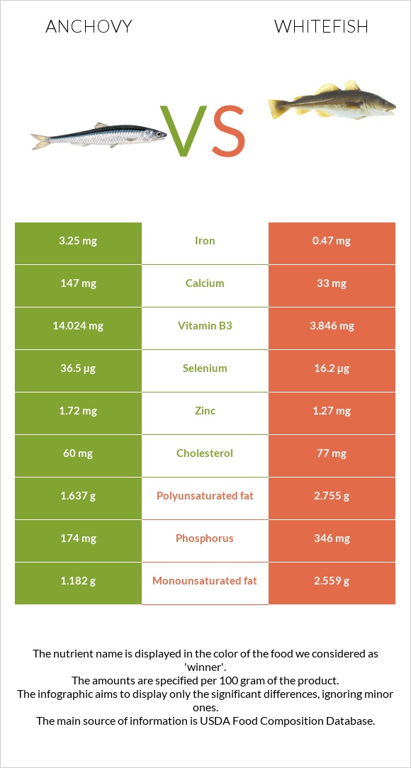 Anchovy vs Whitefish infographic