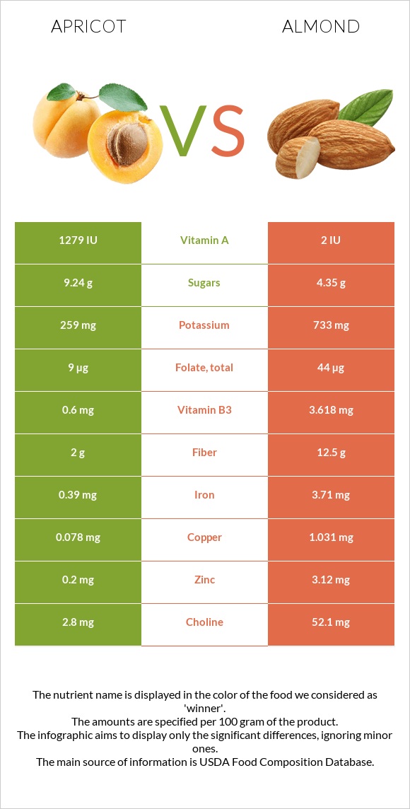 Apricot vs Almond infographic