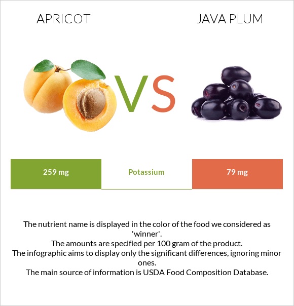 Apricot vs Java plum infographic